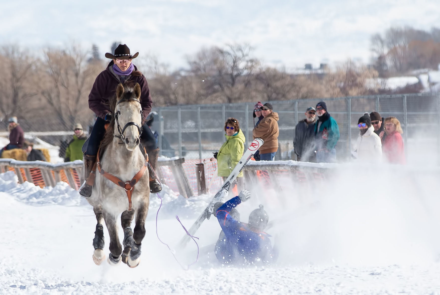 Last Chance Skijoring Race for the Gold